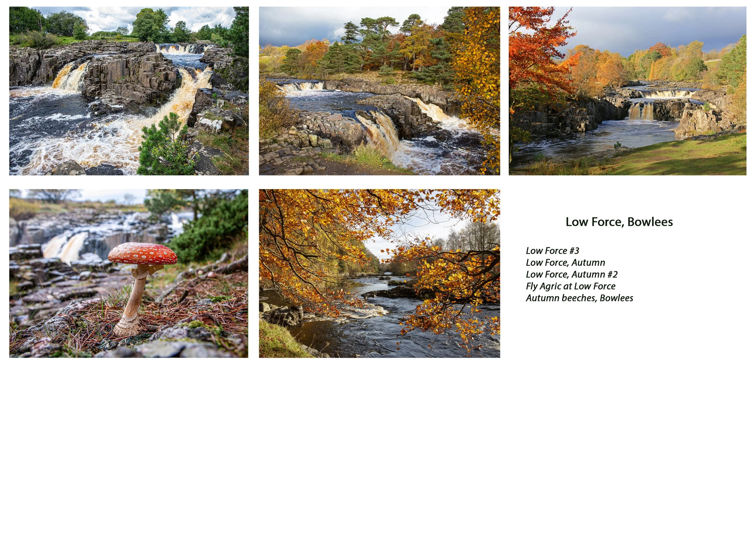 Greeting cards, Low Force, Bowlees