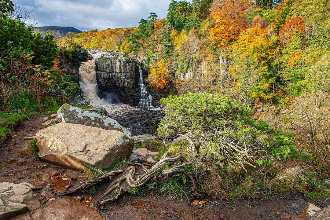High Force with Juniper and rocks - now removed (29/10/2013)