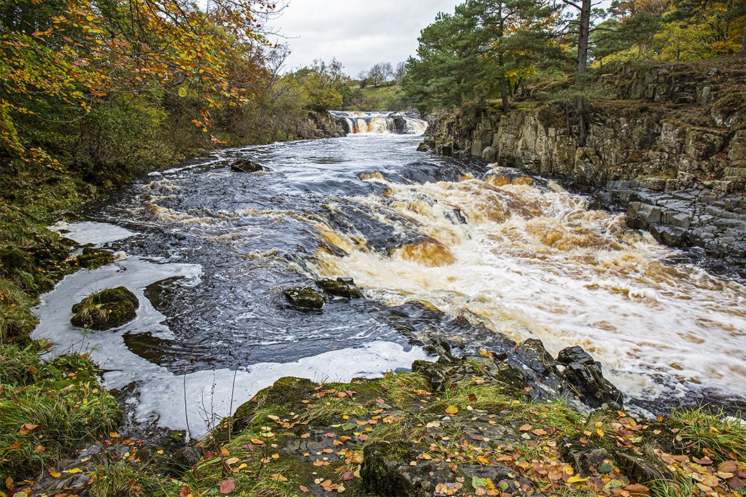 Low Force, Autumn #4 (12/10/2017)