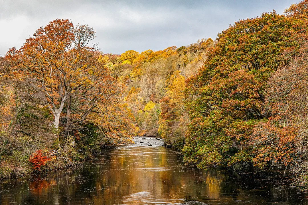 The Tees from Cotherstone footbridge, Autumn