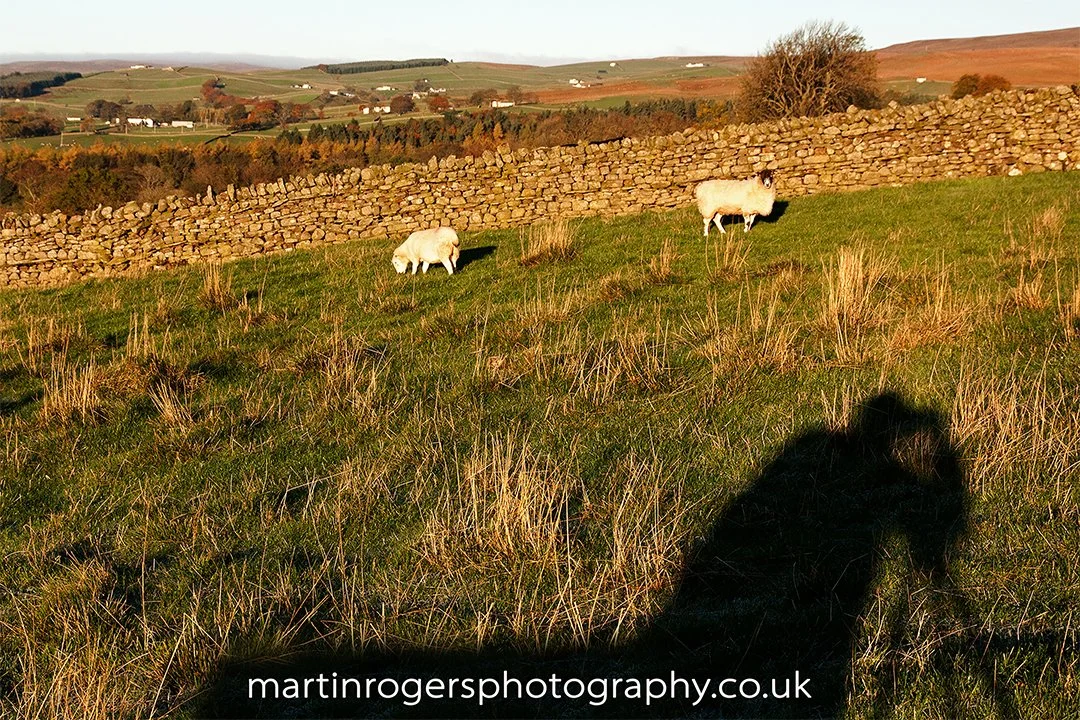 Welcome to my website, and print prices