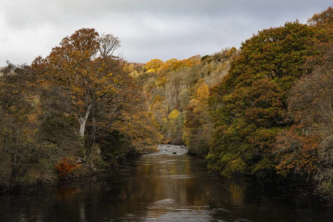 Downstream from Cotherstone Bridge