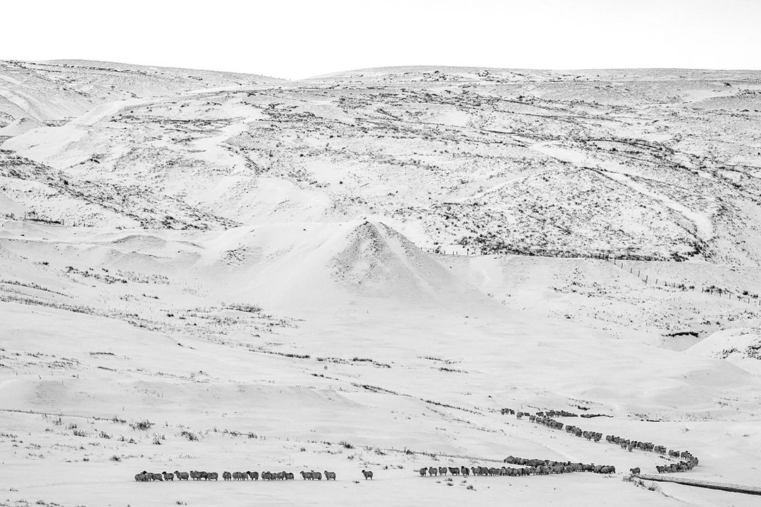 Snow scene at Coldberry