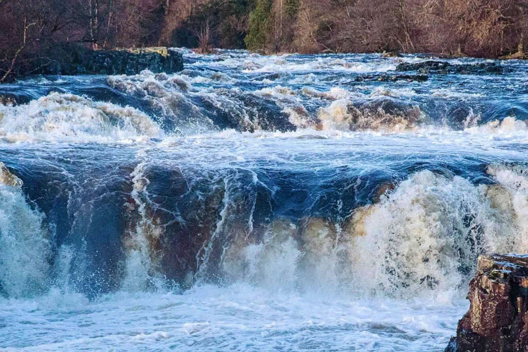 Low Force in spate (3/32026)