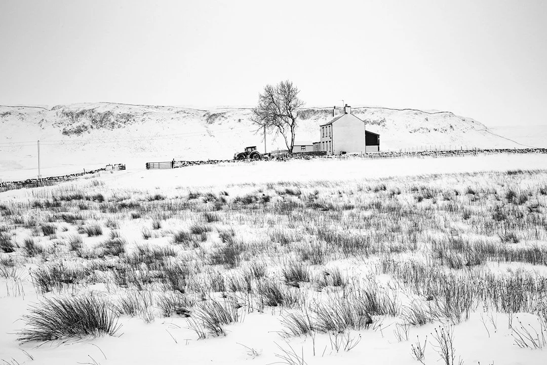 New House and Cronkley Fell in snow (B&W)