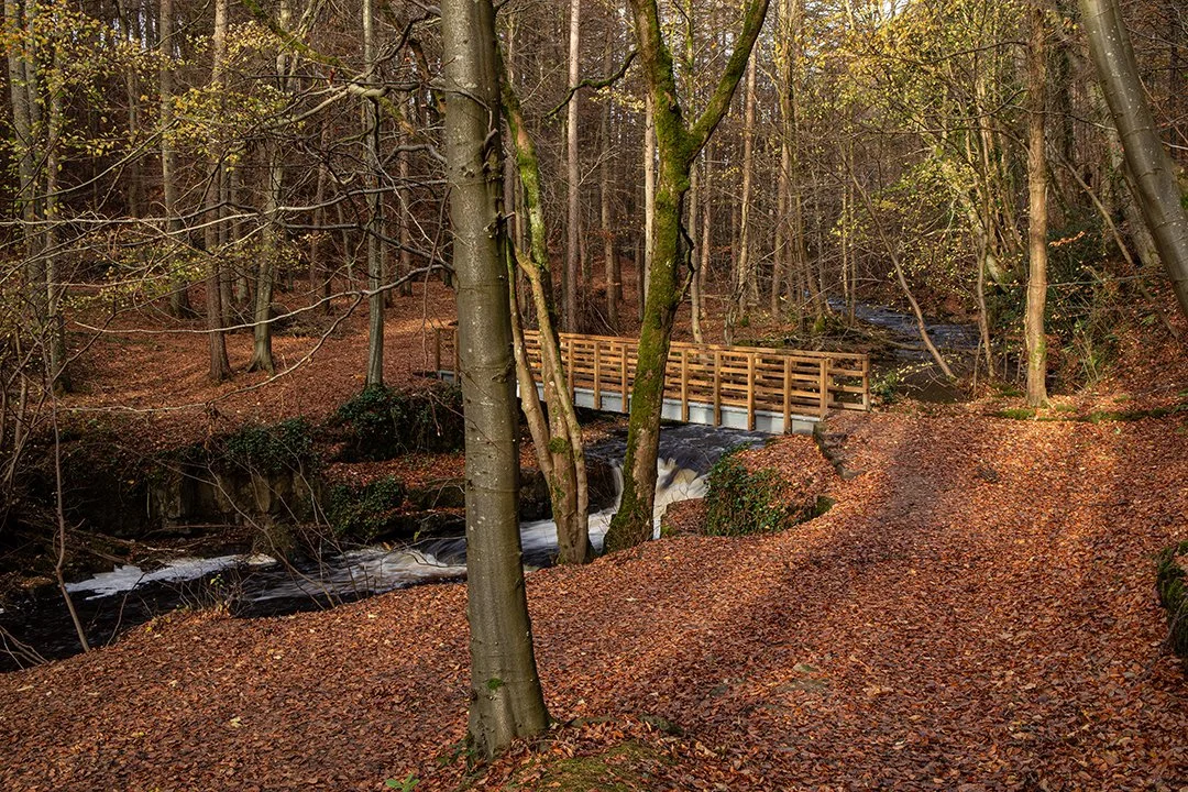 Footbridge over Hudeshope Beck, Middleton-in-Teesdale #1