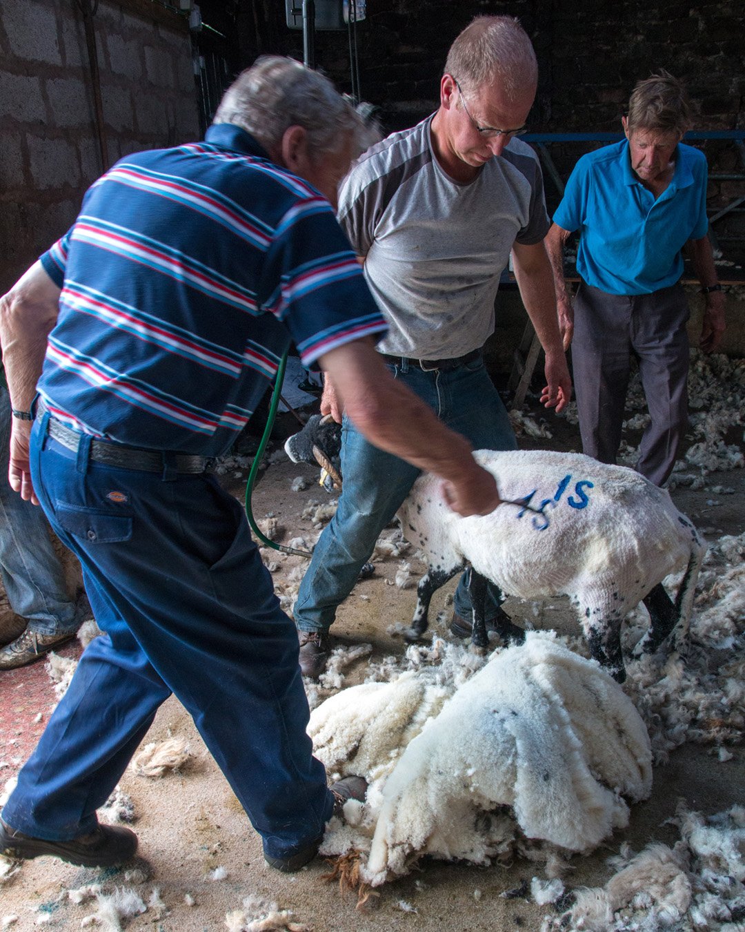 Clipping at Crossthwaite #3