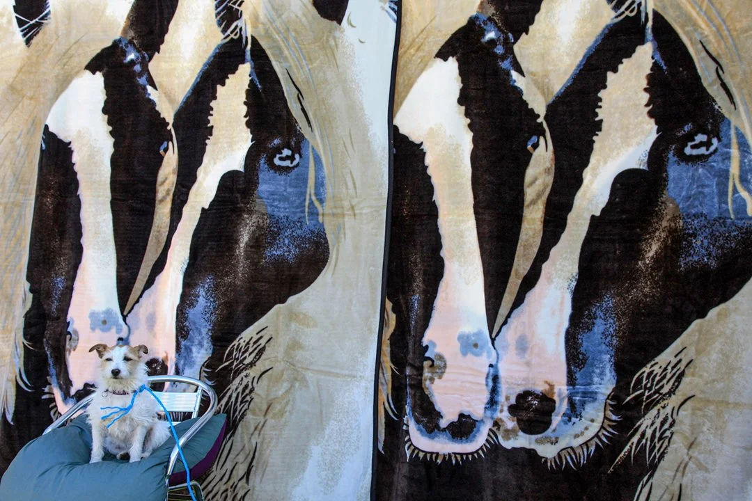 Guardian of the towels