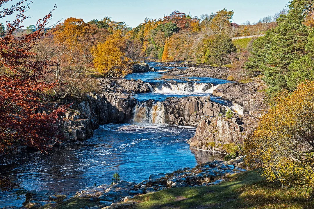 Low Force, Autumn #1 - from a 10' ladder, not a drone! (3/11/2015)