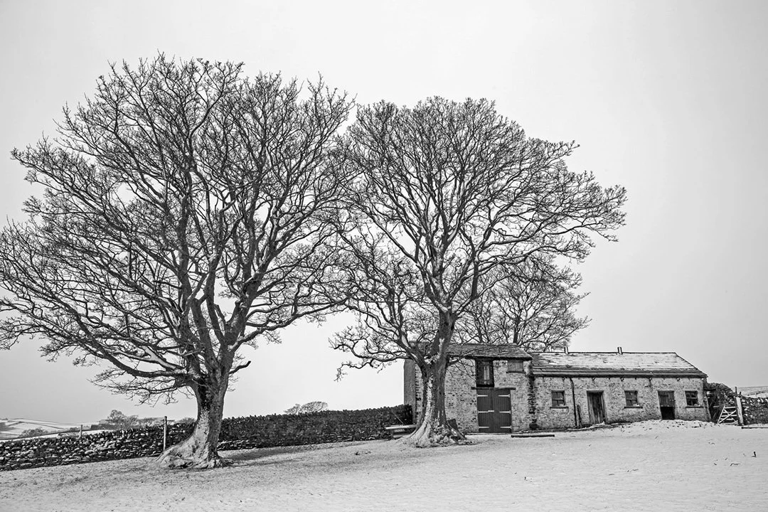 untitled-9539 (12x8).jpg