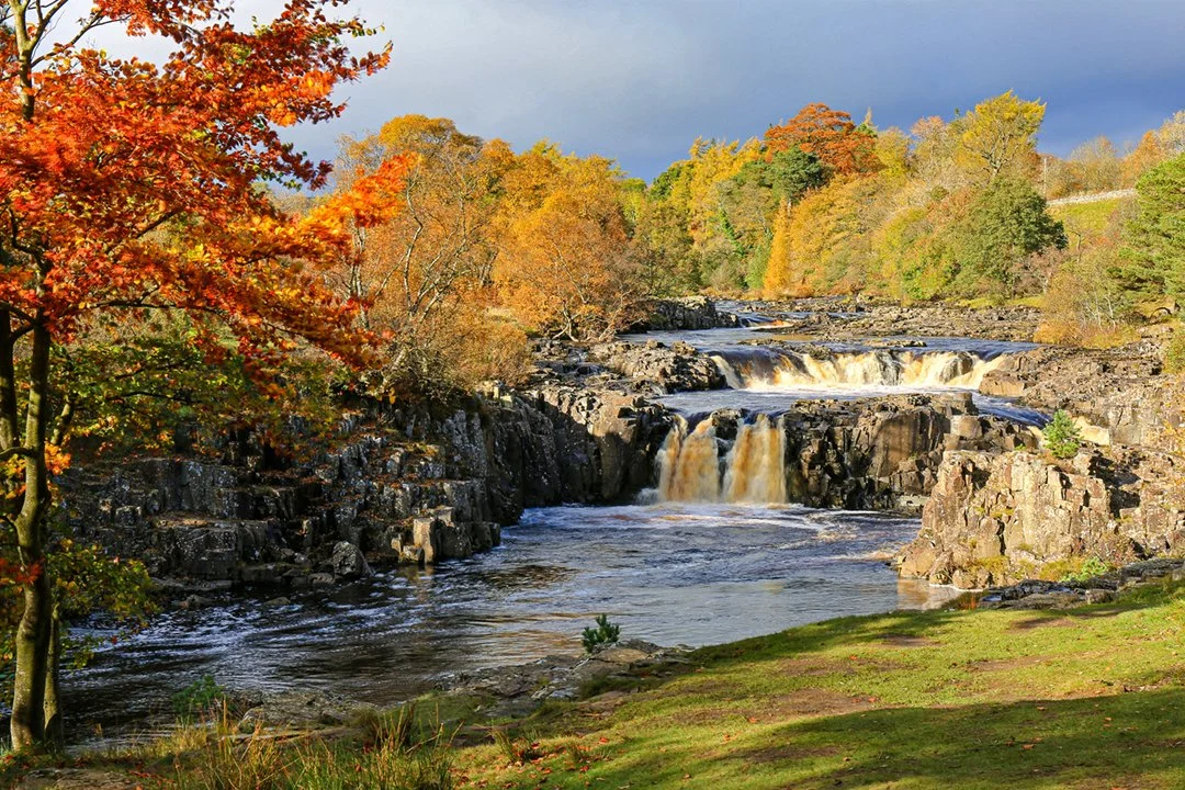 Low Force Autumn #2 (4/11/2016)