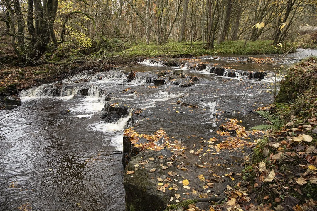 Bow Lee Beck, Bowlees
