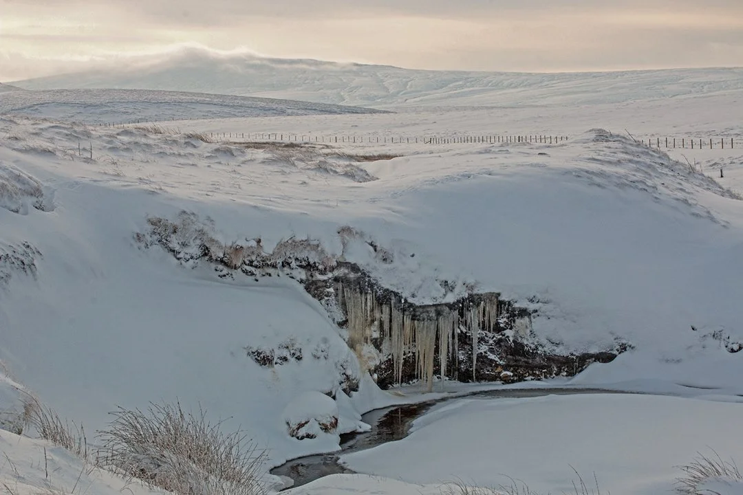Teeth of the blizzard?