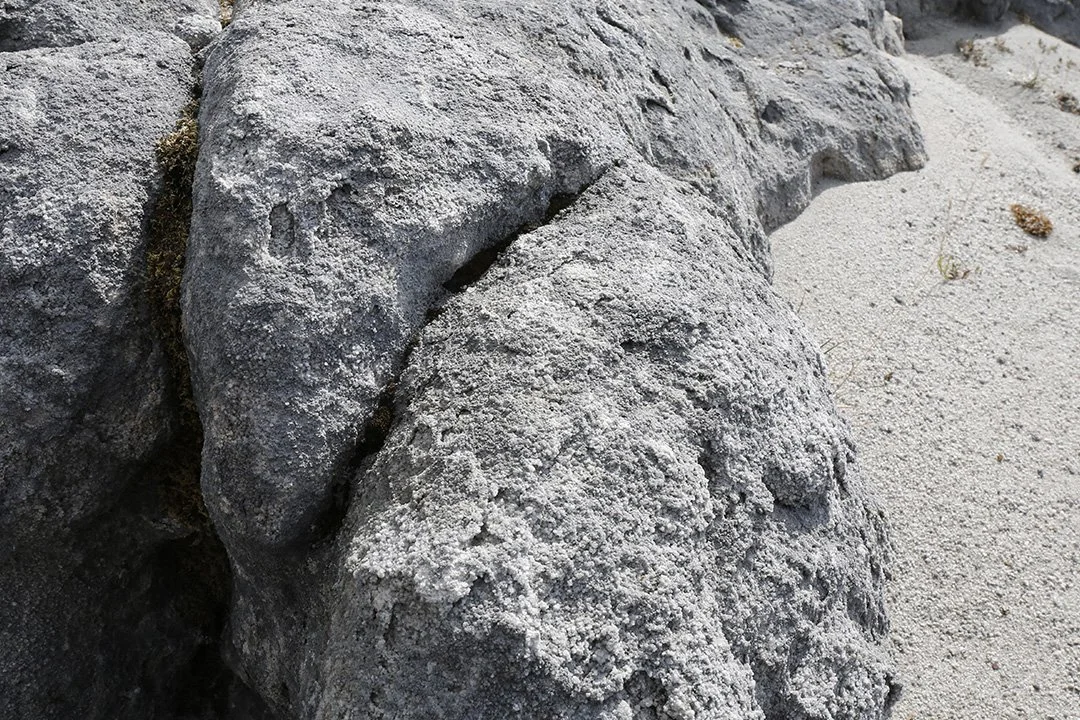 Sugar limestone - a rare form of limestone, crucial for several flower species