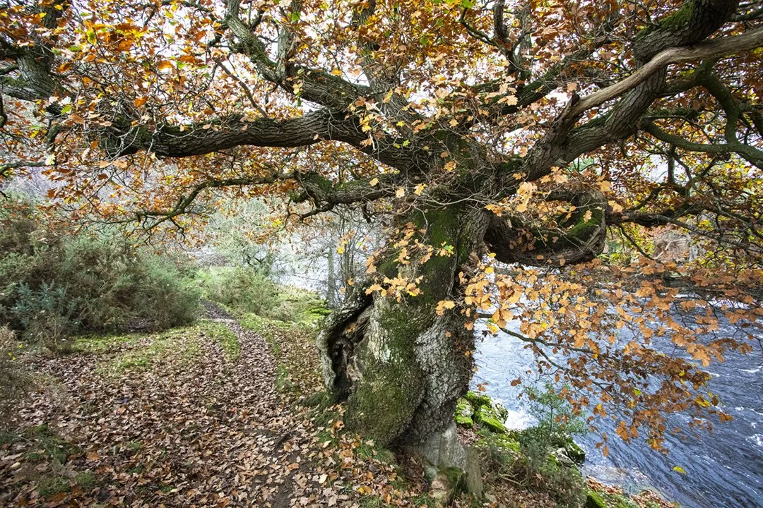 0C8A9206 (flat layers).jpg