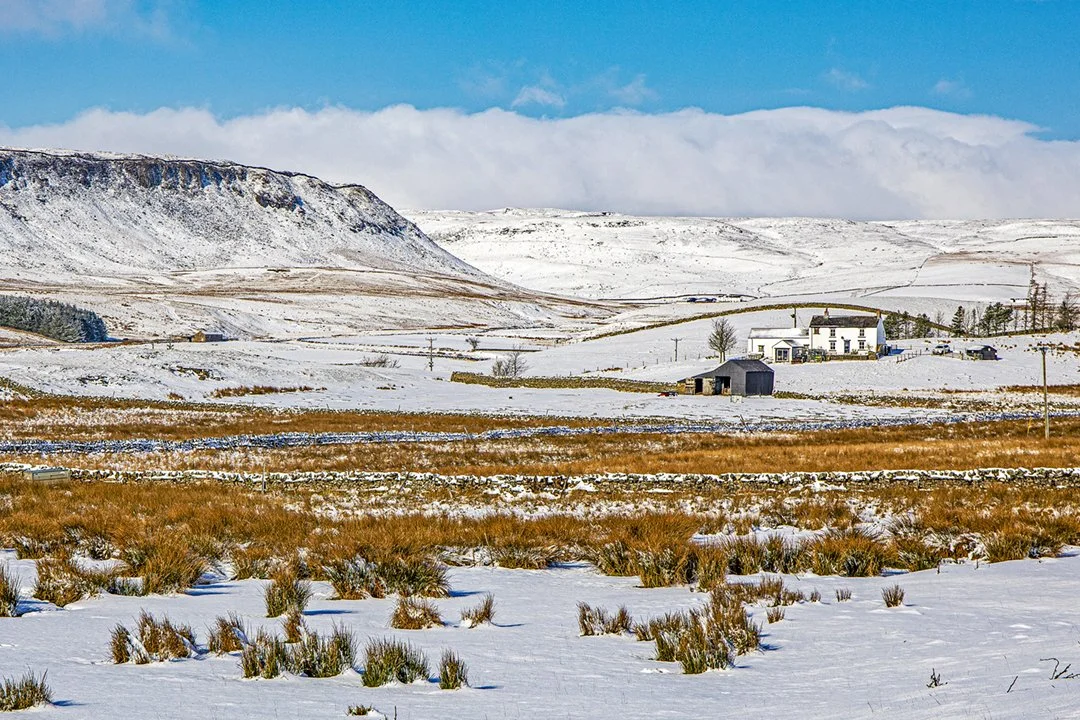 View across Forest to Cronkley Fell 