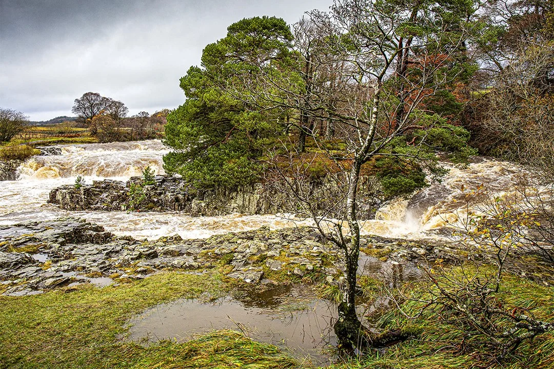 Low Force in full spate, Storm Abigail (15.11/2015)