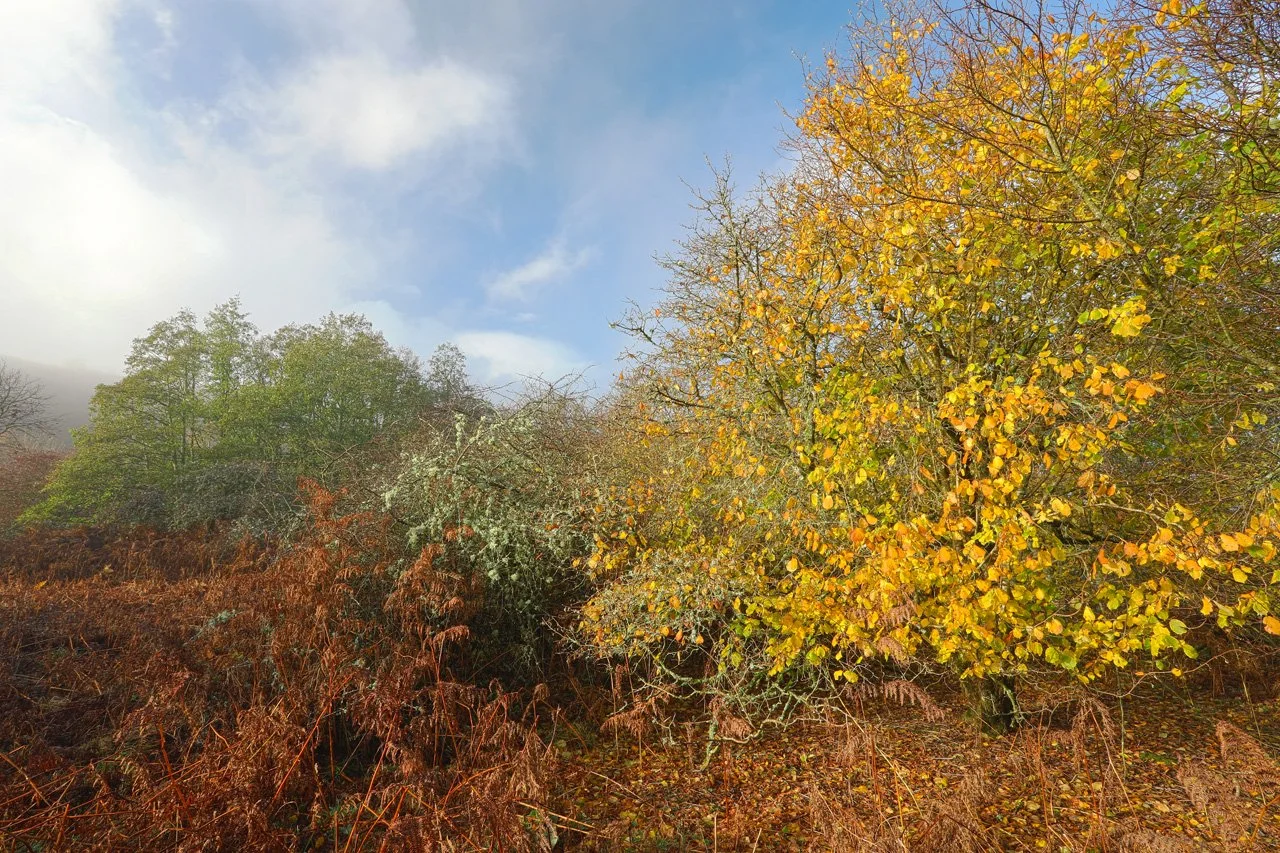 (8589-91) HDR-2 (30x20).jpg