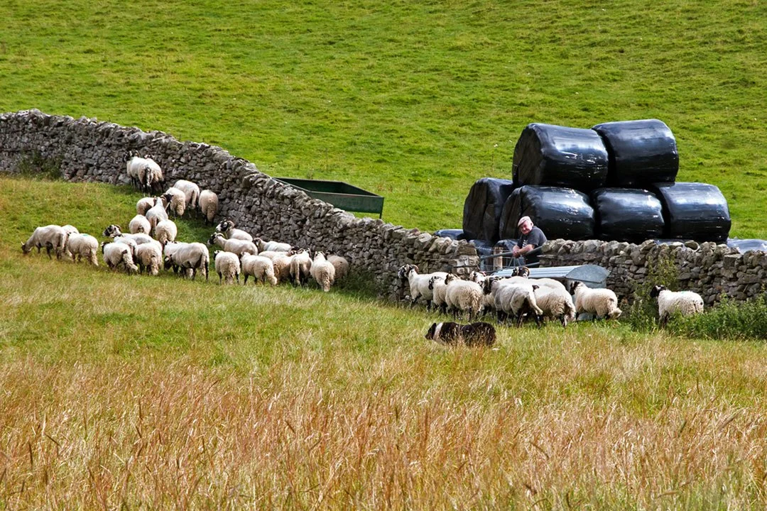 Reflecting on retirement