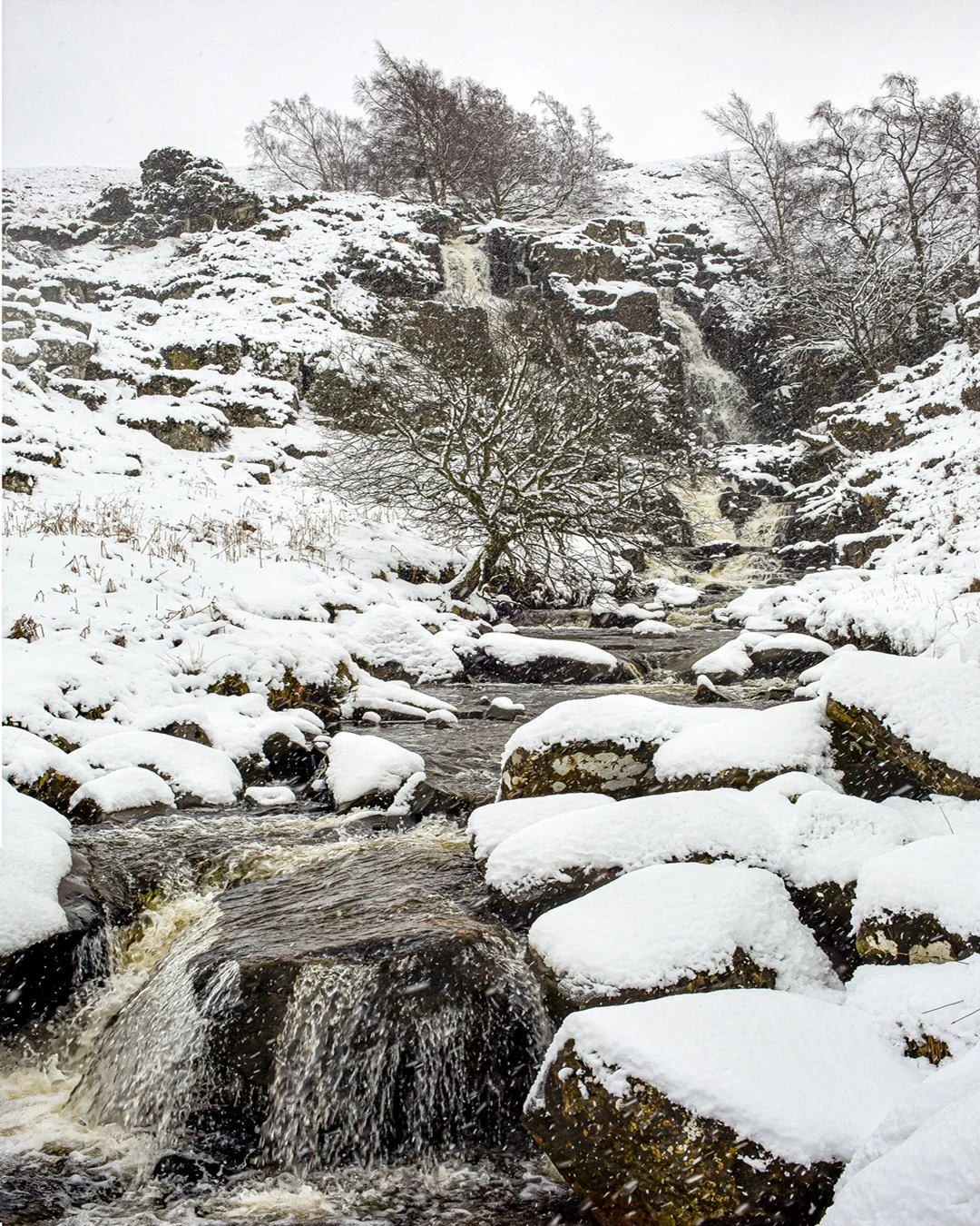 Blaebeck Force, Winter