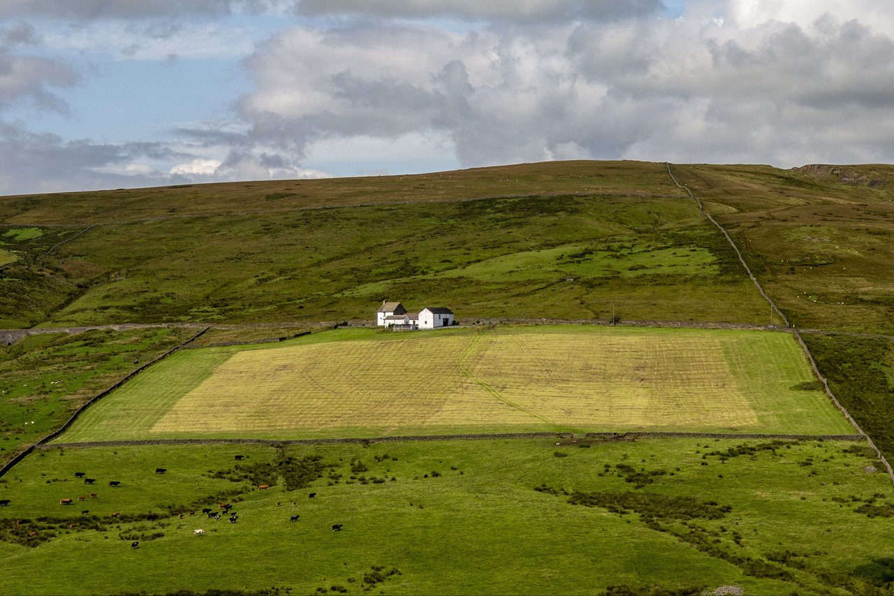 Square field, Auckside (5/8/2019)
