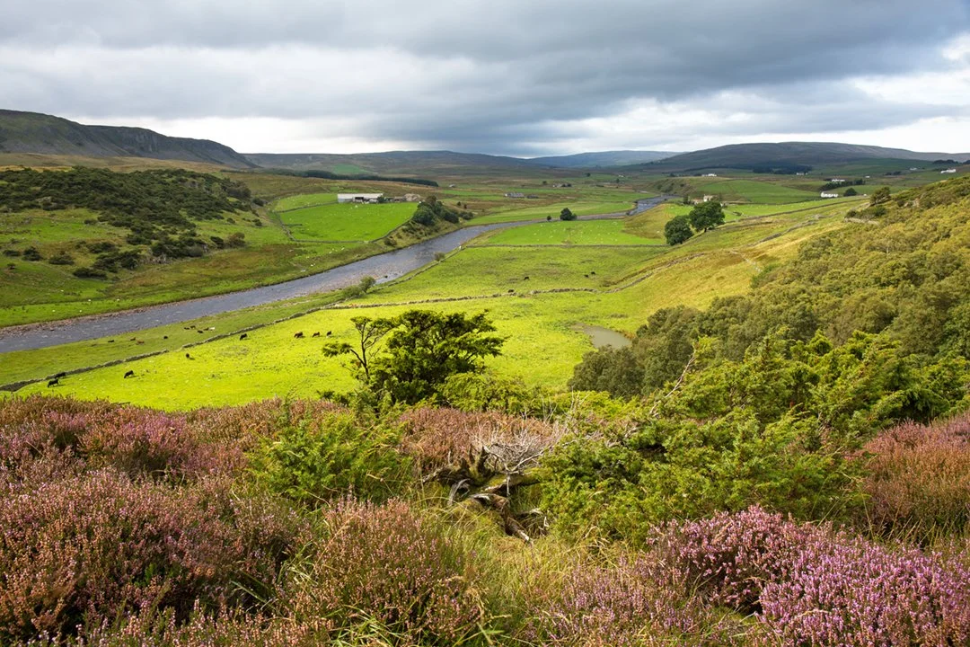 View down onto Tees and Cronkley Farm