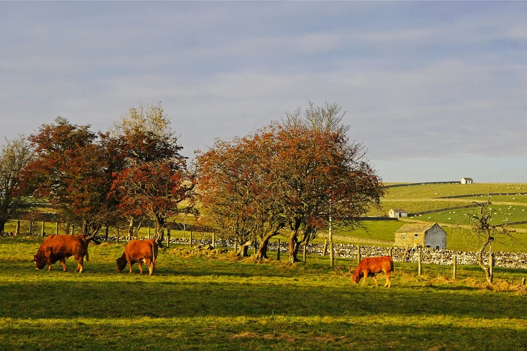 Family group at Bowlees Farm