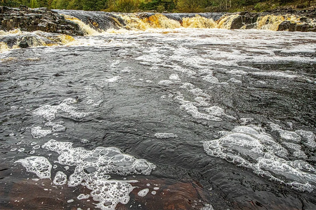 Bubbles at Low Force (8/10/2023)