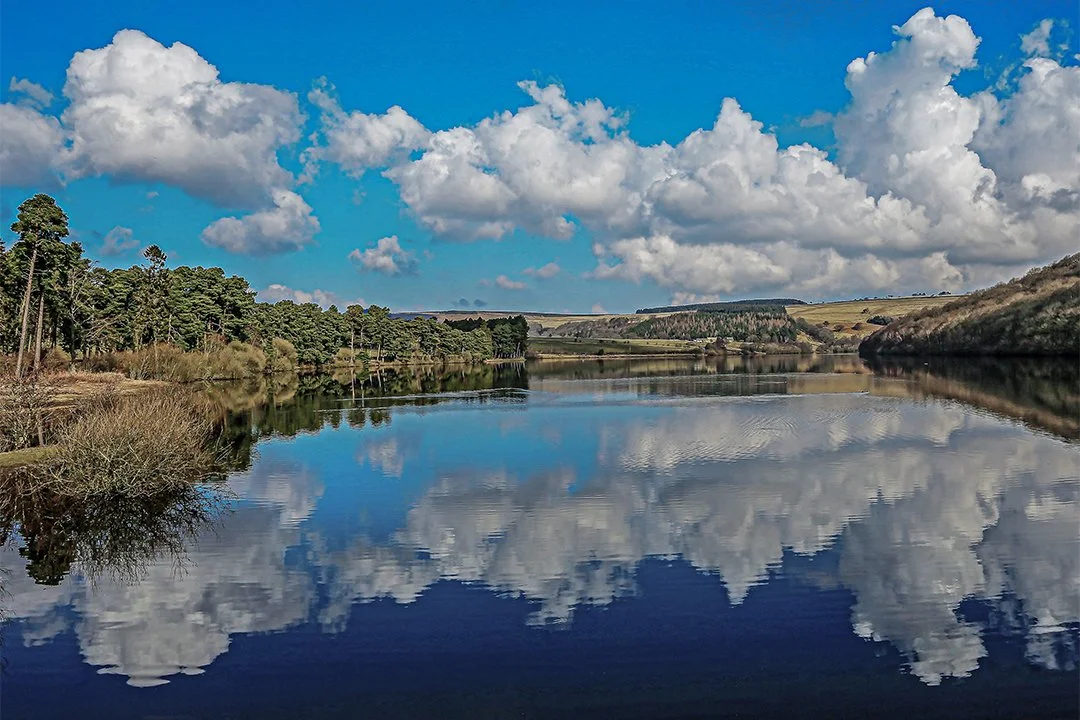 Tunstall Reservoir