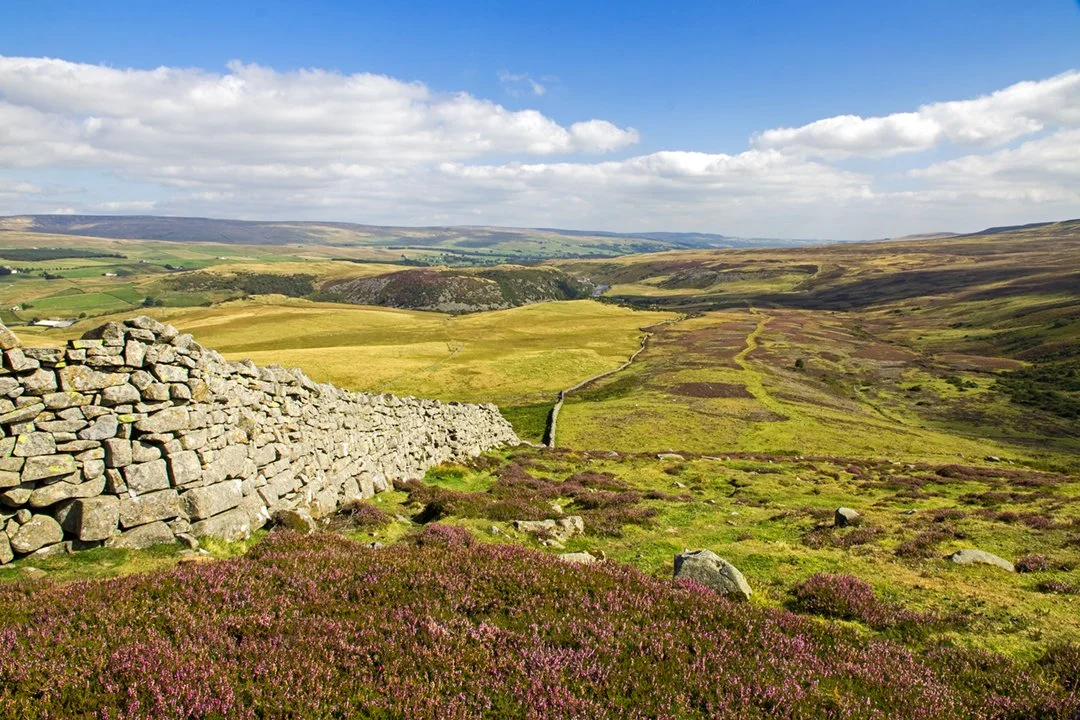 Down the east flank of Cronkley Fell