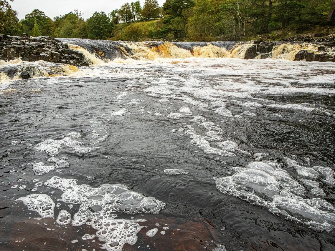 Low Force, with bubbles 