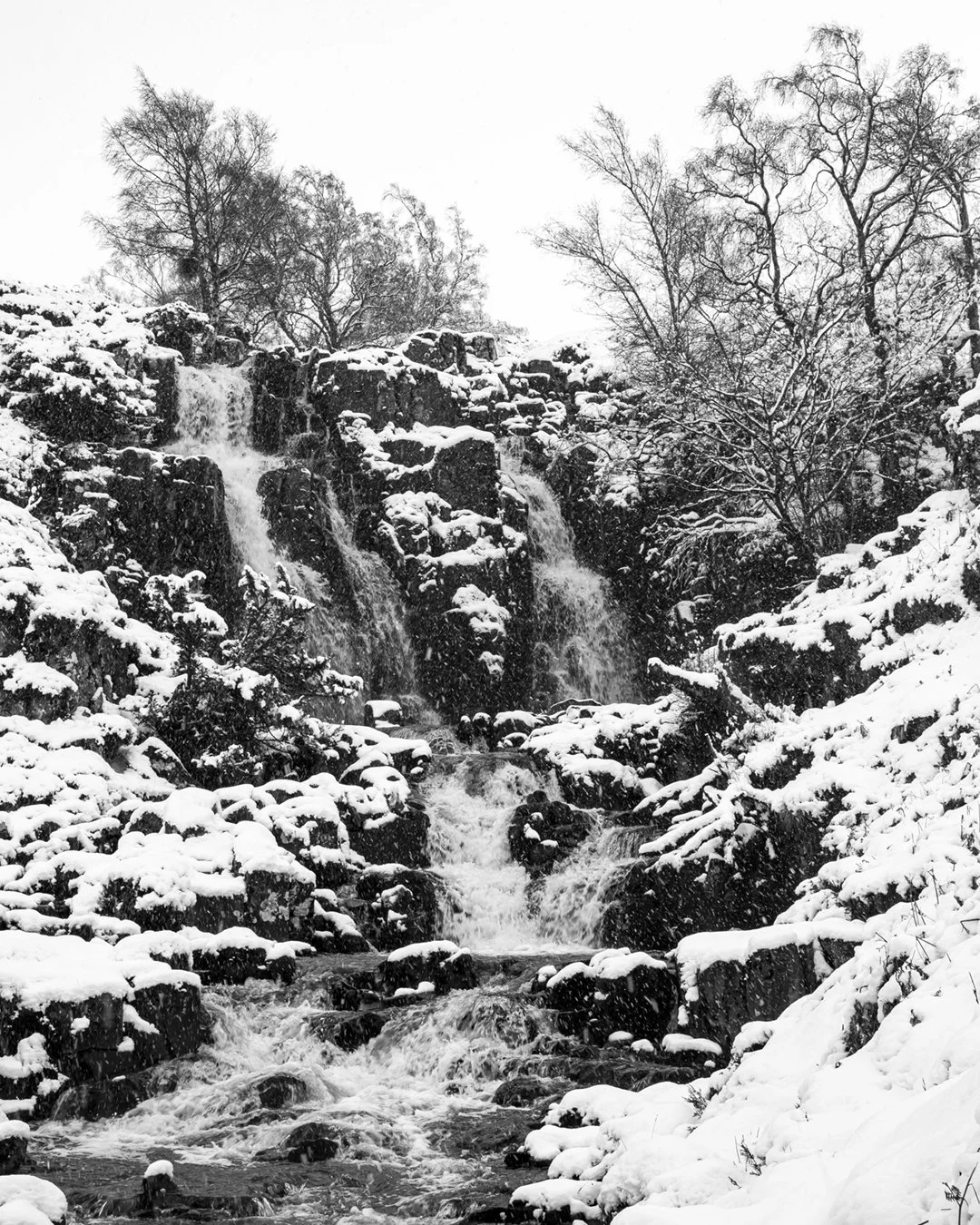 Blaebeck Force
