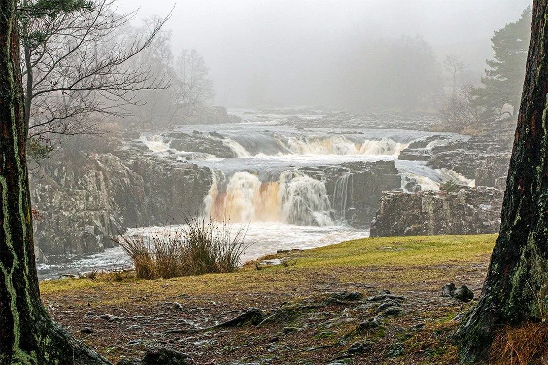 Low Force in the mist (18/1/2014)