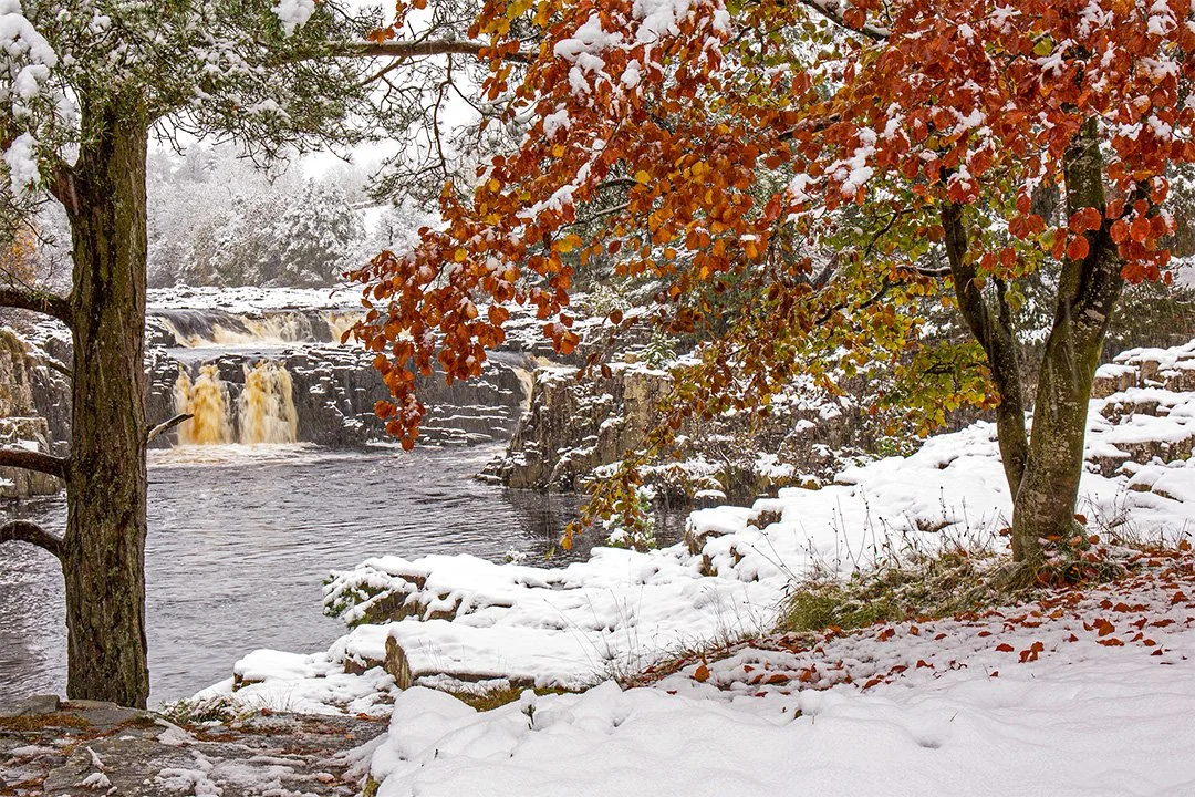 Seasons collide at Low Force (9/11/2016)