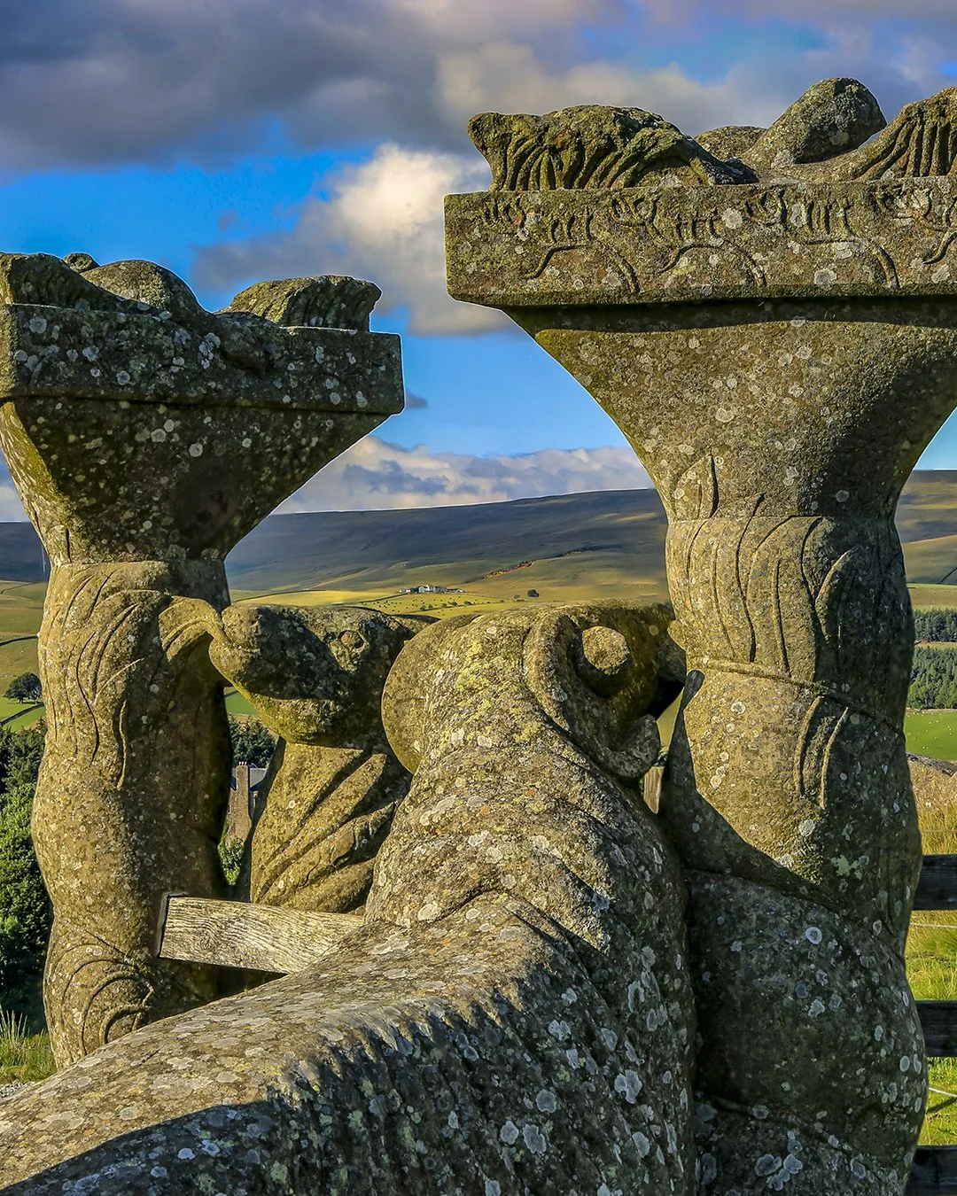 Sheep style, above Holwick Lodge