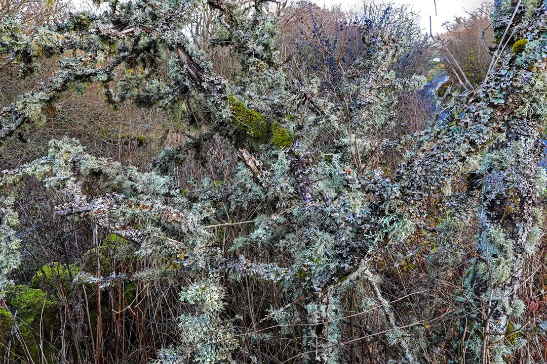 Stack (9469-85)(12x8).jpg