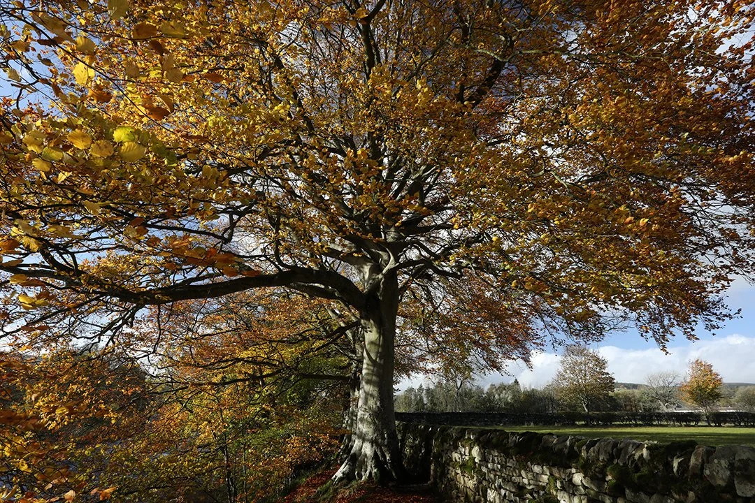 0C8A8326 (1080x720px).jpg