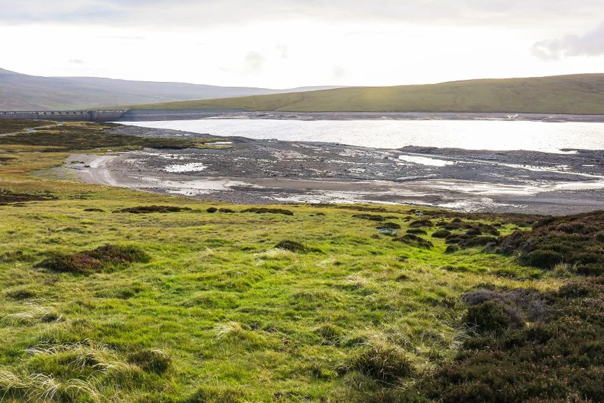 Cow Green shoreline (26/9/26)
