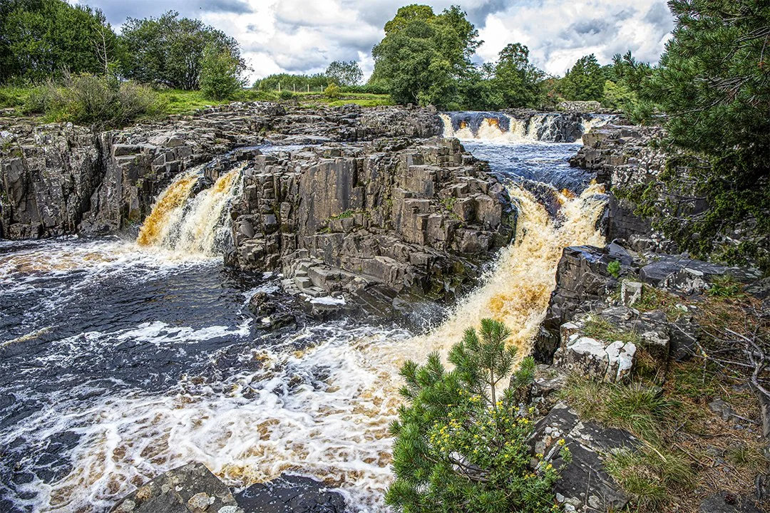 Low Force from the island