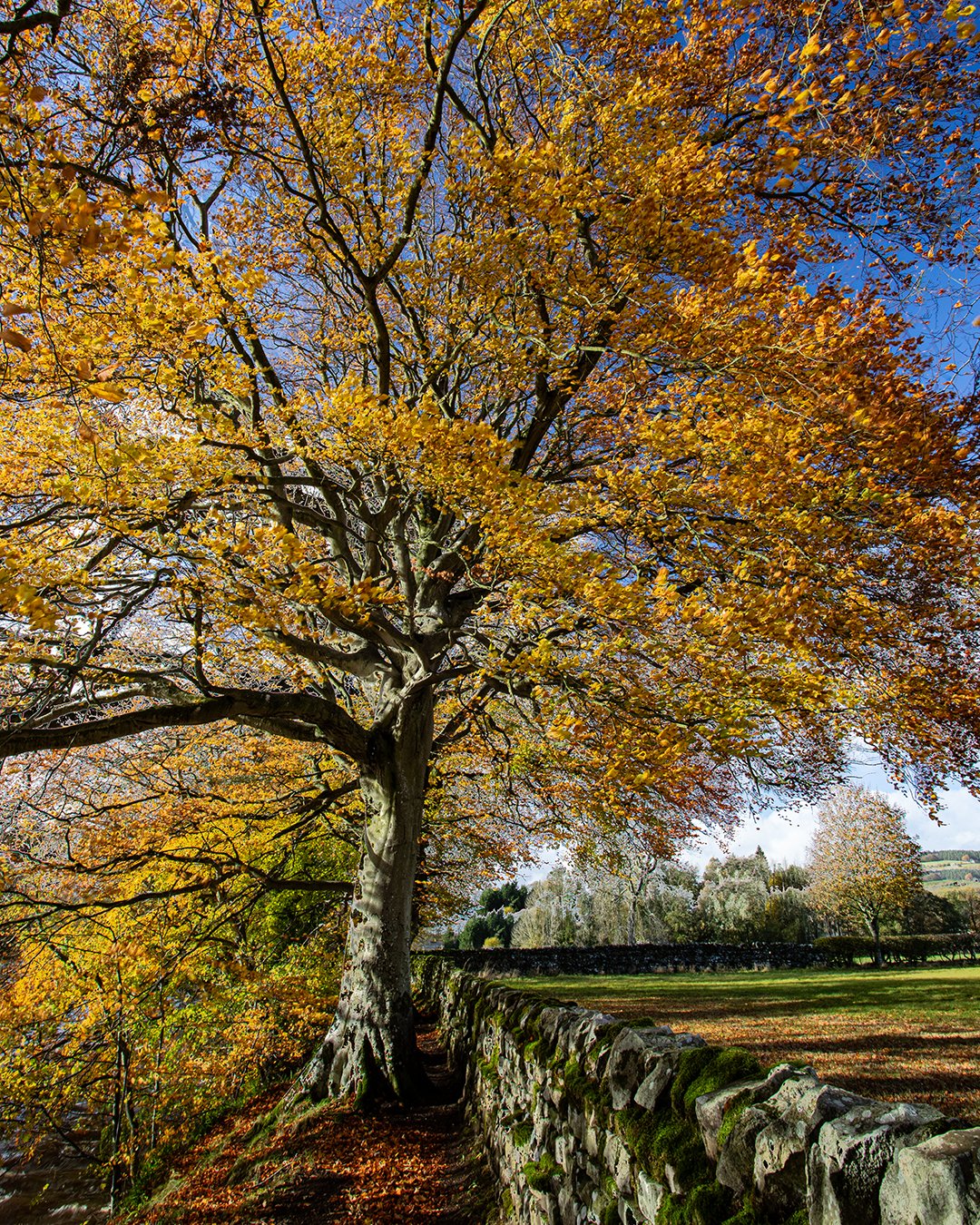 0C8A8320-HDR (1080x1350).jpg