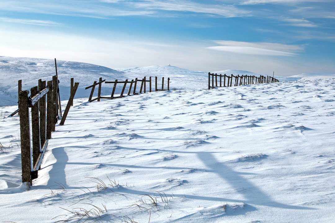 Snow fence at Harwood Common
