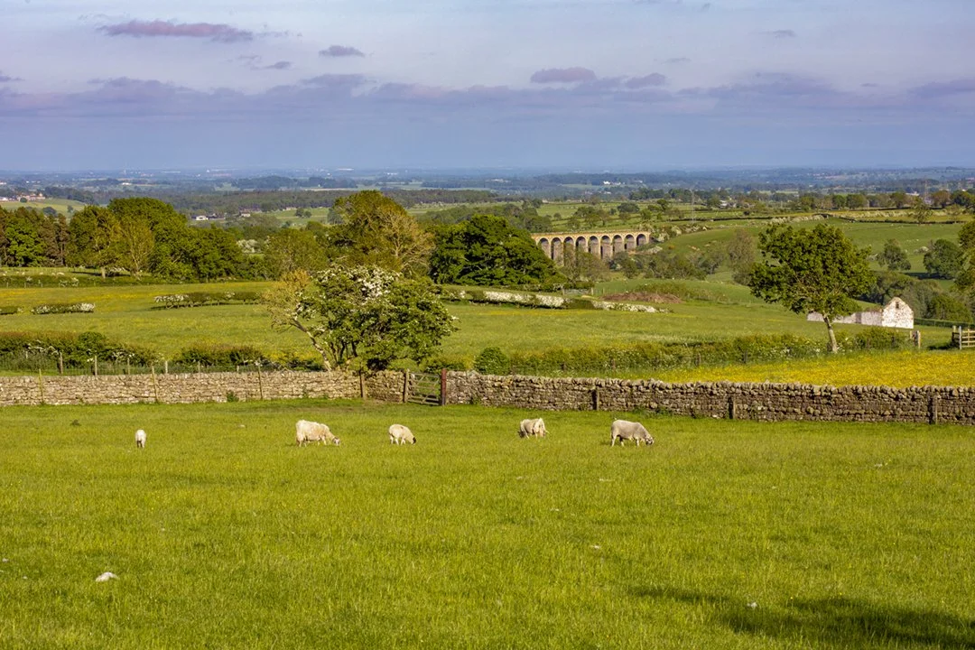 Looking down to Langley Viaduct