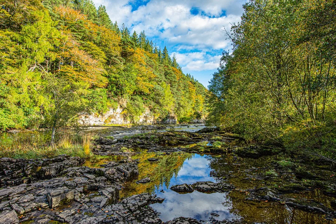 The Tees downstream towards Scoberry Bridge