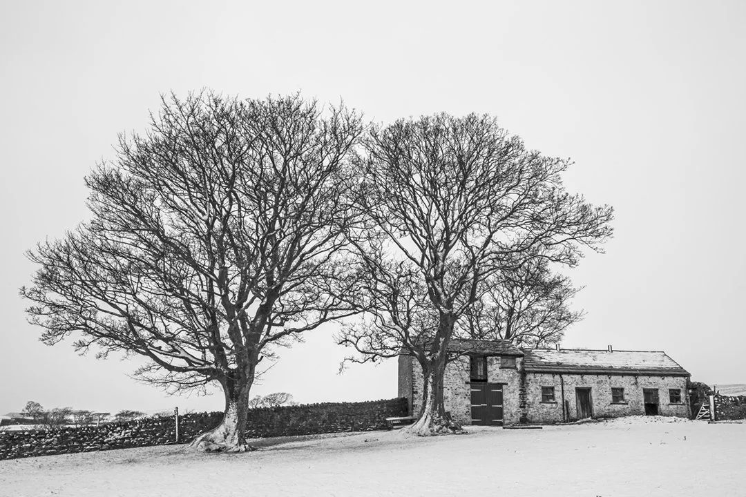 Trees and building on track to Dirt Pit