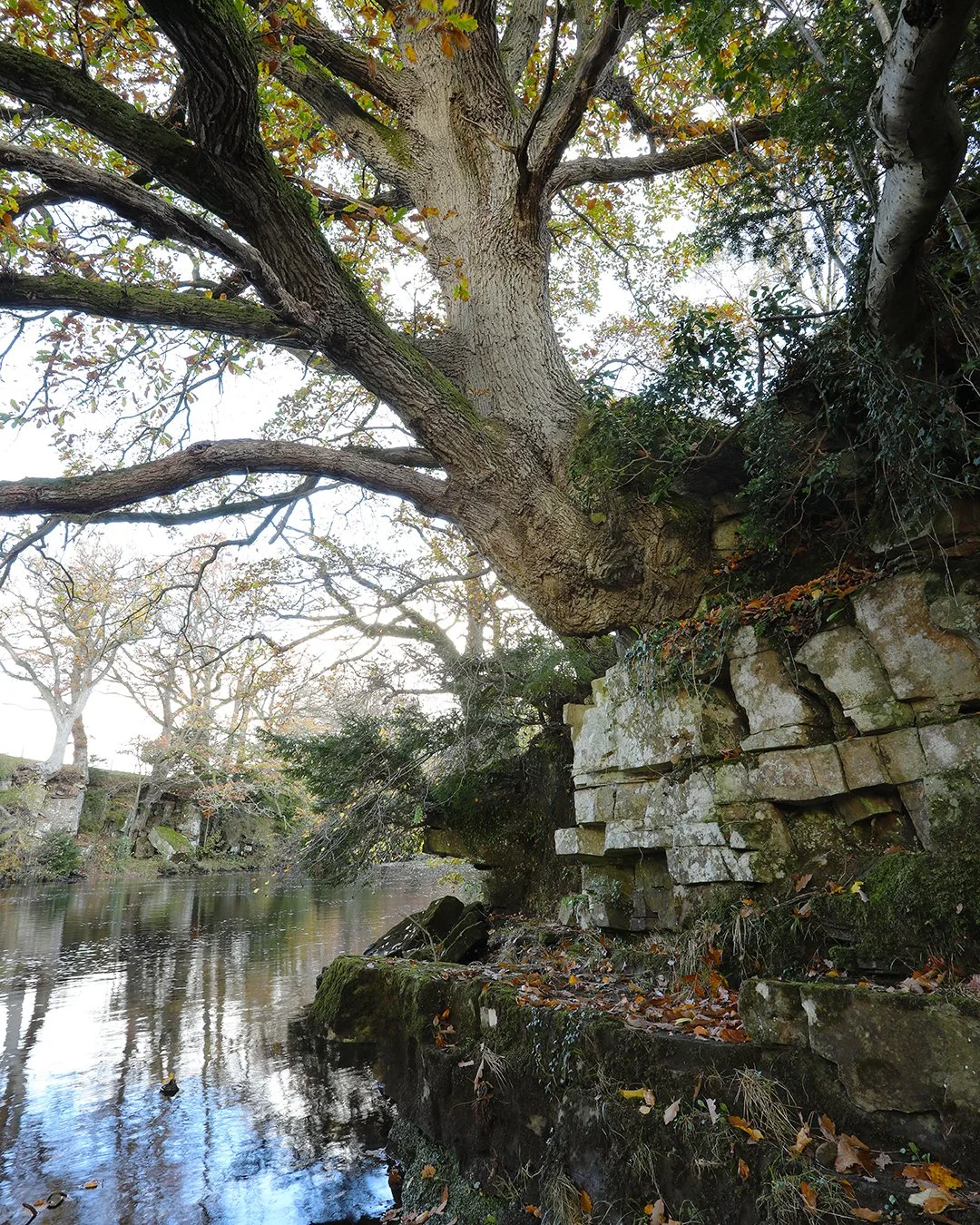 0C8A8905 (1080px).jpg