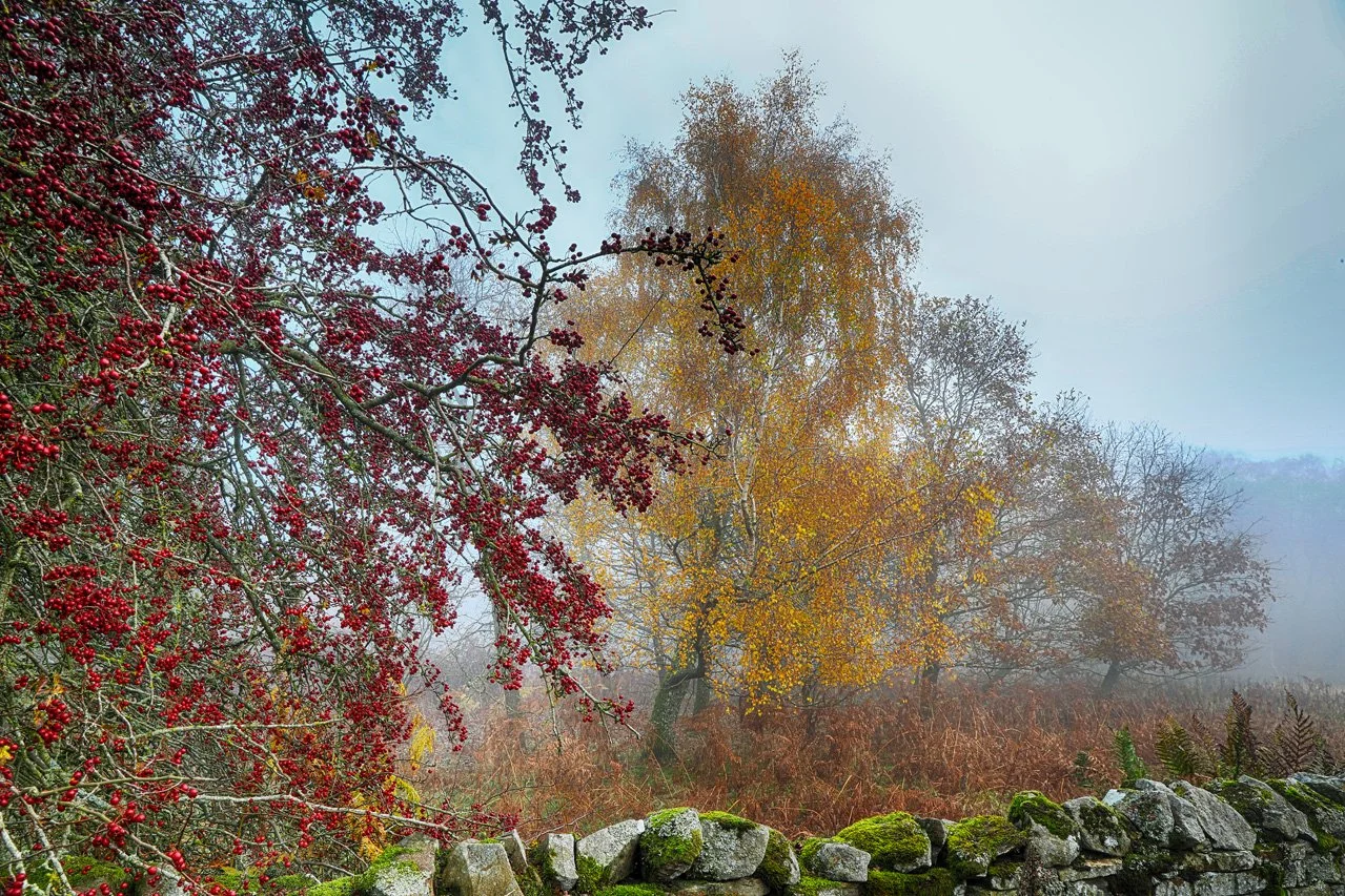 (8541-43)_HDR-2 (30x20).jpg
