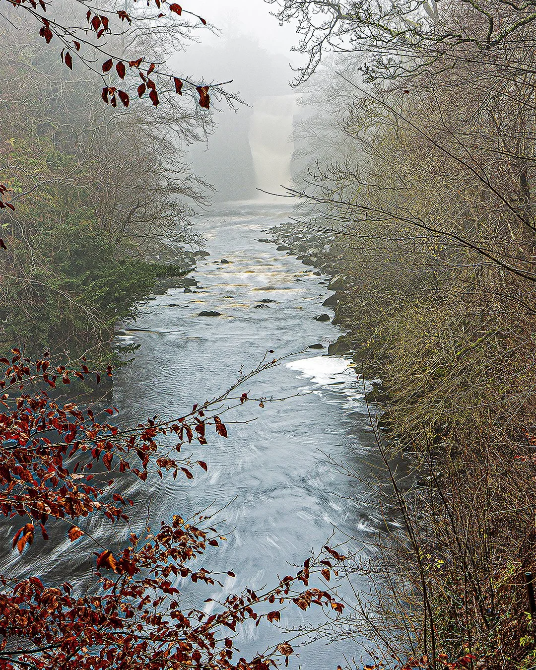 High Force in autumn mist (14/11/2020)