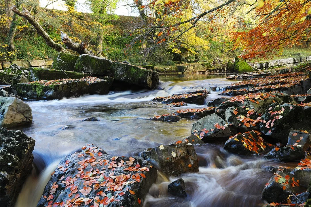 Meeting of the Waters 