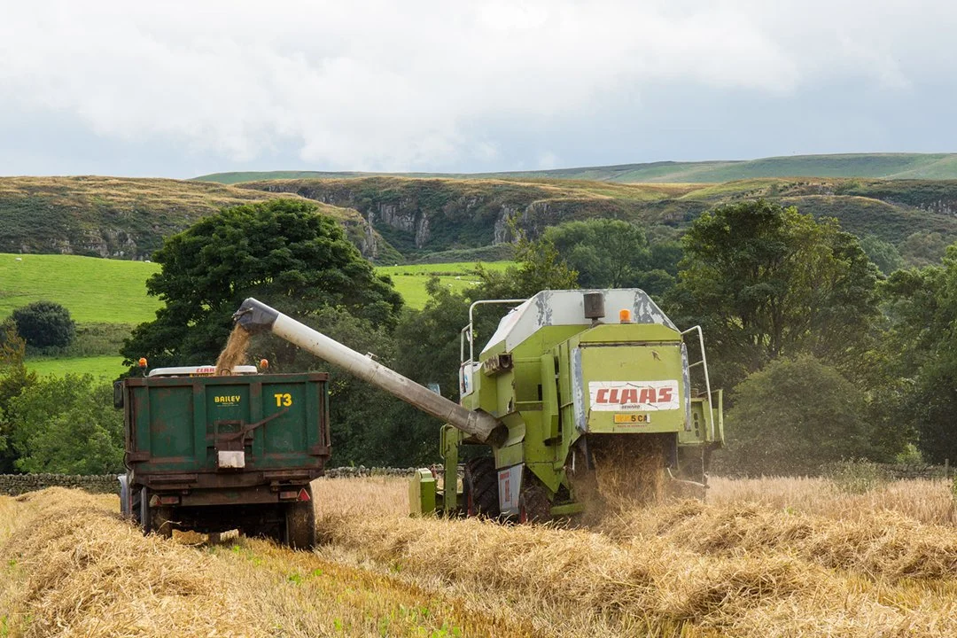 Combine harvesting #2