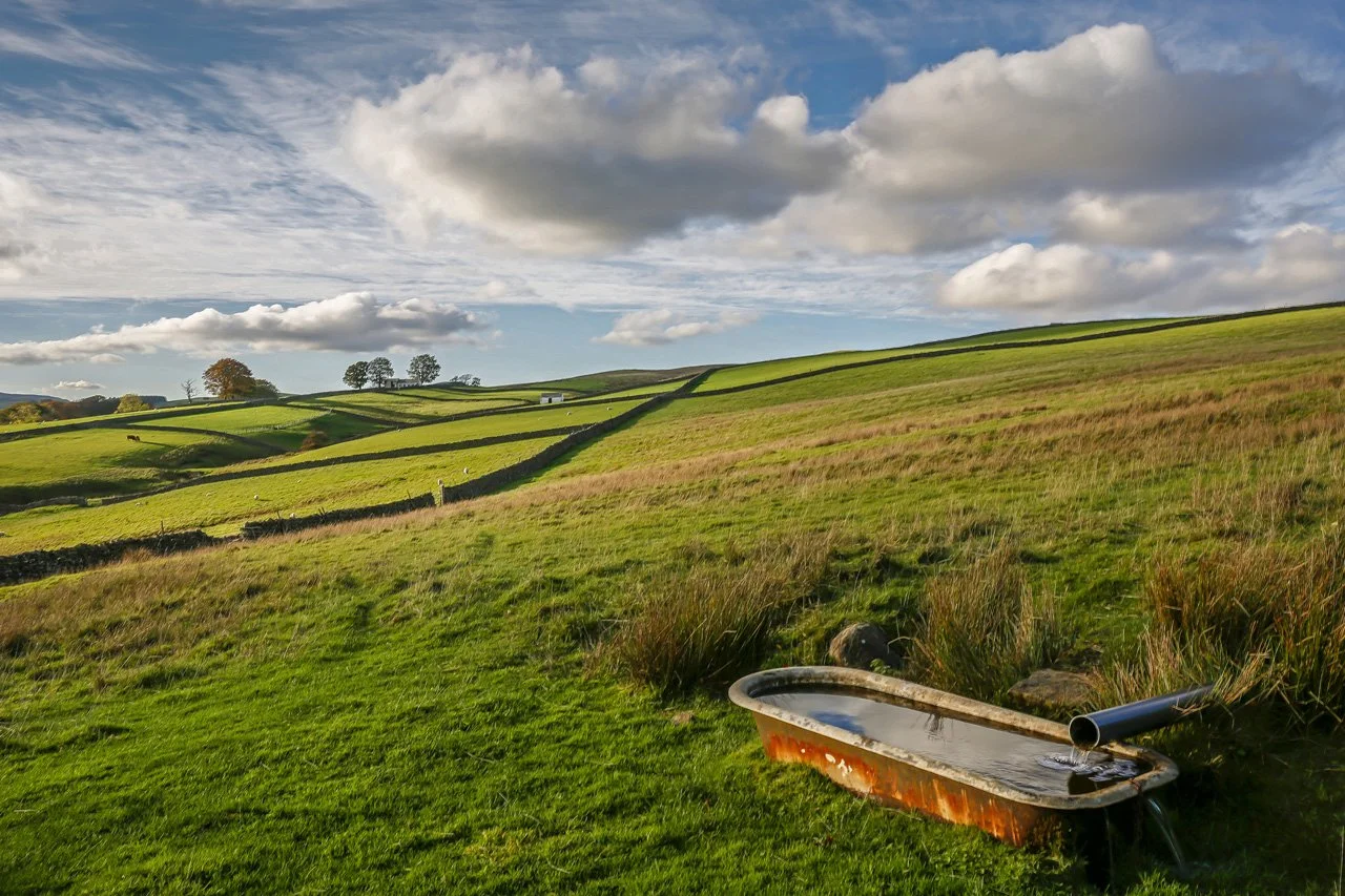 Bath in a field